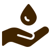روغن
